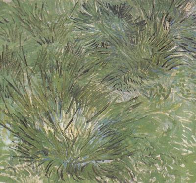 Vincent Van Gogh Clumps of Grass (nn04)